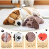 ZippyPaws Heartbeat Calming Toy: Plush, Anxiety & Sleep Aid, Puppy/Cat Training - 4 of 4