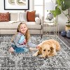 Area Rug Machine Washable Rug for Living Room Vintage Distressed Area Rug, Non-Slip Stain Resistant Carpet Accent Rug - 4 of 4