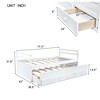 VASIP Grey Twin Bed with Headboard & Footboard – Pine Wood Frame, Trundle & 3 Storage Drawers – Space-Saving Design - 4 of 4