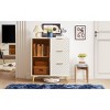 TiramisuBest Deluxe Carved Modern Fashion Style Chest of Drawers with Aluminum Alloy Frame Tempered Glass Doors - 3 of 4