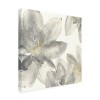 Trademark Fine Art -Chris Paschke 'Gray and Silver Flowers I' Canvas Art - 3 of 4