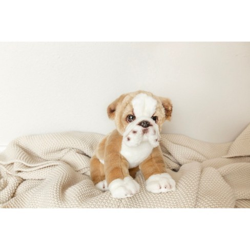 English bulldog plush online