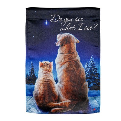 Do You See What I See Garden Lustre Flag