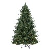 Home Imports Emporium Kinsley Prelit Artificial Christmas Tree, Realistic Traditional Christmas Tree with Lights - 4 of 4