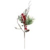 Northlight 32" Green and Red Berries and Pinecones Frosted Artificial Christmas Spray - 2 of 3