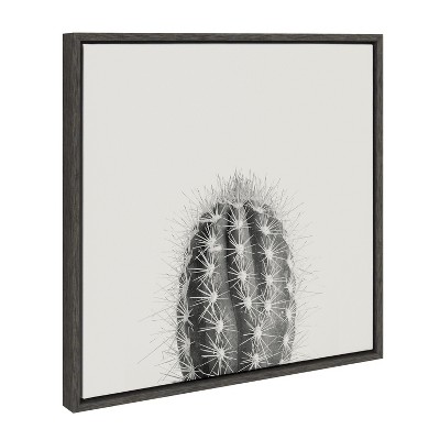 Haze Cactus Succulent Graphic Art on Canvas with Black Frame