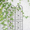 MAYEERTY 2 Pack Metal Garden Trellis 86.7 x 19.7 Inch Rustproof Climbing Plants Support Black Outdoor Flower - 2 of 4