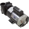 Waterway Plastics 3712021-1D 5 hp 230V 1-Speed Executive 56 Frame 2" Complete - 3 of 4