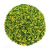 Mystic Sprinkles The Big Game: Green & Yellow Nonpareil Mix 3.8oz - 4 of 4