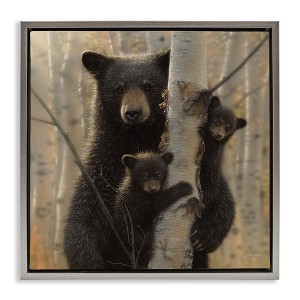 Stupell Industries Forest Black Bear and Cubs, 25" x 25" - 1 of 4