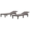 Maliang 2-Piece Outdoor Chaise Lounge Chair with Adjustable Backrest for Patio, Poolside or Beach - 3 of 4