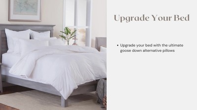 Queen White Hypoallergenic Polyester Down Alternative Pillow Set