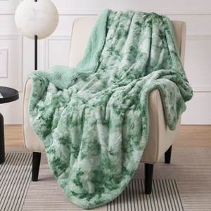 Bedsure- Cloud Soft PV Blanket ,Comfy Plush and Furry Faux Fur - 1 of 4