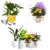 Tierra Garden Plant Grow 3 Piece Kit - Plant Grow Light, Grooming Kit and 4 Spike Water Kit - 4 of 4