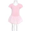 Girls Leotard Dress Danz N Motion 293 Madeline Sparkle Skirt Short SLeeve - 2 of 4