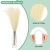 Unique Bargains Dried Plants Artificial Durable Small Fluffy Pampas Grass for Home, Office, Party 20 Pcs 21.7 Inch - 2 of 4