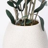 30" x 24" Artificial Olive Plant Arrangement in Pot - Threshold™ designed with Studio McGee - image 3 of 3