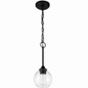 Craftmade Lighting Glenda 1 - Light Pendant in  Flat Black - 2 of 4