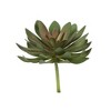 Vickerman 6" Artificial Assorted Succulent Picks, Set of 3 - 3 of 4