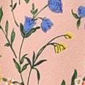light pink-blue floral