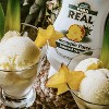 Reàl Infused Exotics Simply Squeeze Infused Syrup Pineapple 16.9oz Bottle for Mix- ologists, Chefs, Cooks - 3 of 4