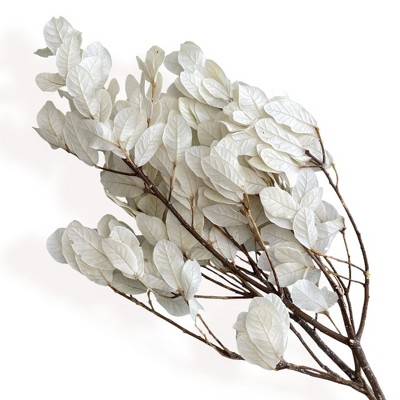 Alilang Decorative Dried Leafy Branches for Modern Home Decoration and Floral Arrangements, 15.5 Inches