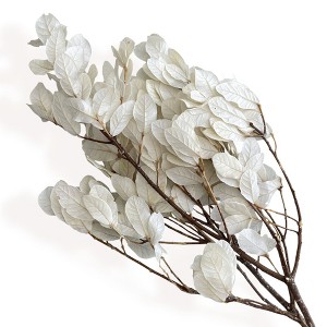 Alilang Decorative Dried Leafy Branches for Modern Home Decoration and Floral Arrangements, 15.5 Inches - 1 of 3