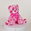 Bearington Pink Plush Stuffed Animal Teddy Bear with Hearts, 8.5 inches - image 2 of 4