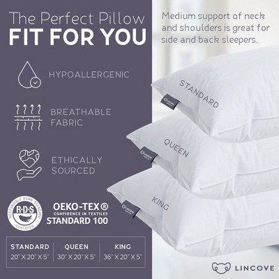 Lincove Standard White Cotton Down Feather Pillows, Set of 2