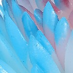 blue,red