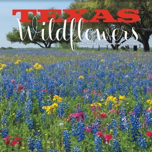 Trends International 2025 Texas Wildflowers Wall Calendar: Monthly Art, 12x12 Inches, Saddle Stitch Binding, All Ages - 1 of 4