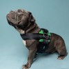 Joyride Harness Premium Advanced No Pull Dog Harness 2.0 Grass Green - 2 of 4
