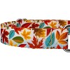 Country Brook Petz Martingale Dog Collar - Awesome Autumn Collection - 4 of 4