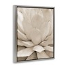 Stupell Industries Prickly Agave Plant Monochromatic Beige Desert Succulent Floating Frame Canvas Art - 2 of 4