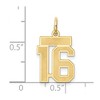 Black Bow Jewelry 14k Yellow Gold, Jersey Collection, Small Number 16 Pendant - 4 of 4