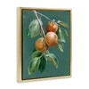 Stupell Industries Autumn Harvest Fruits Floating Frame Canvas Art - 2 of 4
