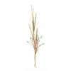 Melrose Foxtail Grass Spray (Set of 2) - 3 of 3