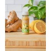 Vive Organic Pure Boost Ginger Shot - 2 fl oz - 3 of 4