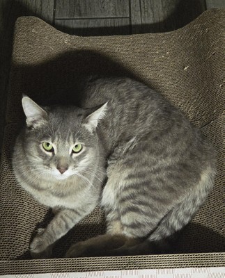 Guest review image 1 of 1, zoom in