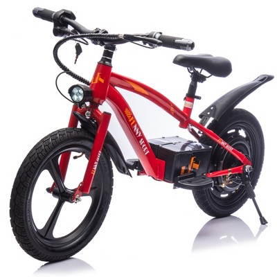ORRD 24V 300W Kids Electric Dirt Bike for Ages 5-12, Up to 12.4MPH, 16" Wheels, Adjustable Seat, LED Light & Horn, Balance Bike,Black