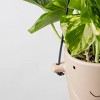 Hank Taupe - Good Little Garden™ - 3 of 3