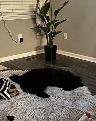 Guest review image 1 of 1, zoom in