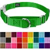 Country Brook Petz Heavyduty Nylon Martingale with Premium Buckle - 2 of 4