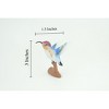 Collectible Wildlife Gifts | Hummingbird, Hand Painted, Museum Quality,  Rubber Bird, Realistic, Diorama, Toy,  Gift,  3 Inches.  CH833 BB194 - 3 of 4