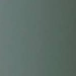Eucalyptus Green