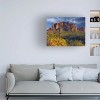 Trademark Fine Art -Mike Jones Photo 'Lost Dutchman flowers' Canvas Art - 2 of 4