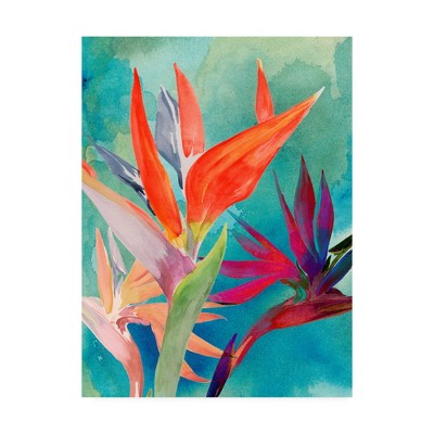 Vivid Birds of Paradise Floral Canvas Art in Blue and Red, 47'' x 35''