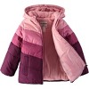 OshKosh B'Gosh Little Girls' Heavyweight Color-Block Winter Coats - 2 of 4