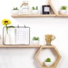 BRINJOY 6-Pack Mini Artificial Succulent Plants - Small Faux Succulents in Pots for Home Desk Decor - 3 of 4
