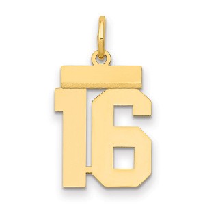 Black Bow Jewelry 14k Yellow Gold, Athletic Collection, Small Polished Number 16 Pendant - 1 of 3